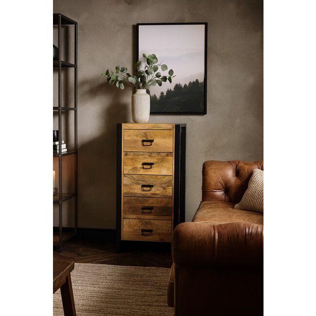 Benoa Ladekast Industrial Mango smal met 5 lades