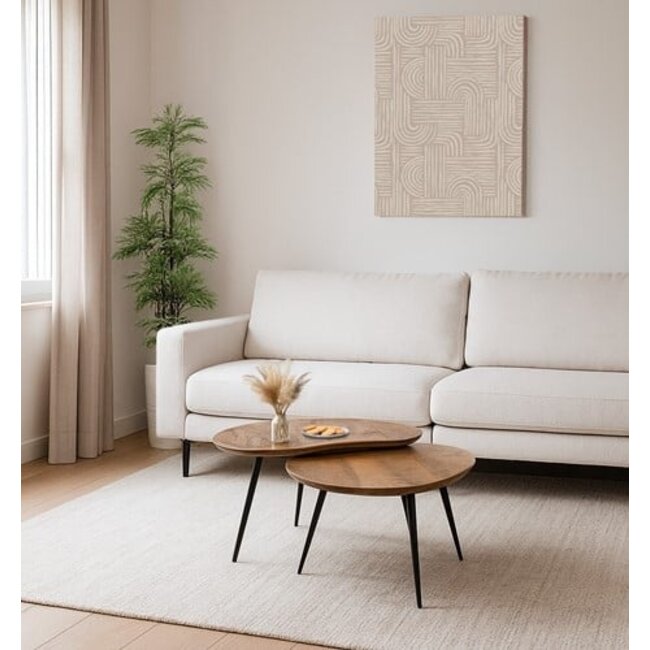 Nijwie Salontafel set van 2 Erfurt organisch