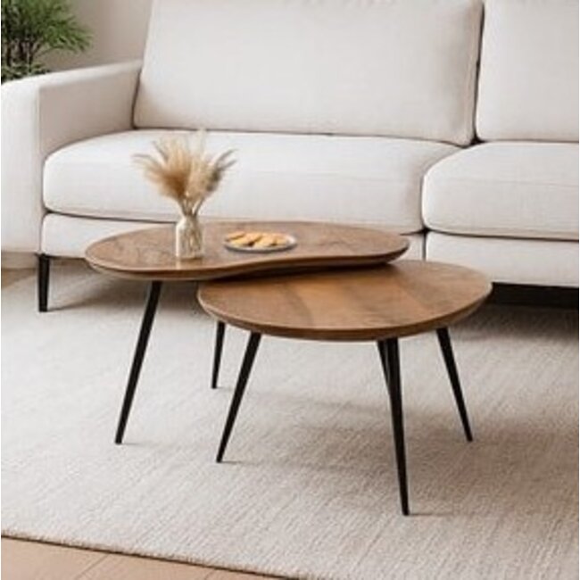 Nijwie Salontafel set van 2 Erfurt organisch