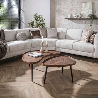 WoonStijl Salontafel Carve organisch set van 2