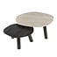 WoonStijl Salontafel Twin log set van 2 salontafels