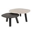 WoonStijl Salontafel Twin log set van 2 salontafels