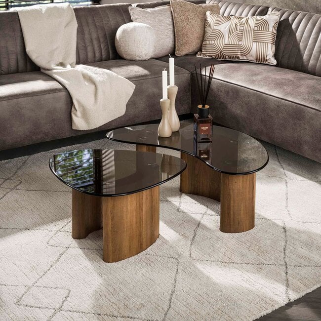 WoonStijl Salontafel Tinto organisch set van 2 salontafels met brons glas