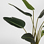 Label51 Strelitzia - Groen - Kunststof - 100 cm