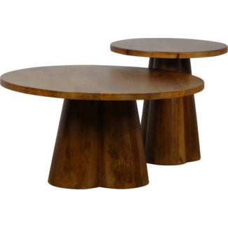 Wildeboer v/d Weide Salontafelset Alan mango