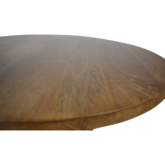 Wildeboer v/d Weide Salontafelset Alan mango