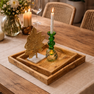 Nijwie Dienbladen set van 2 - Mango