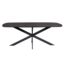 Starfurn Eettafel Elegance Black | Deens ovaal | 200x100