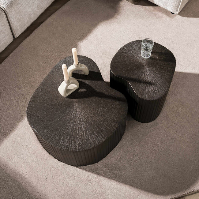 WoonStijl Salontafel Maya Ray niervormig set van 2