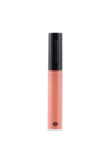 Make Up Forever Make Up Forever Artist Plexi Gloss