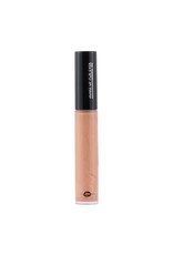 Make Up Forever Make Up Forever Artist Plexi Gloss