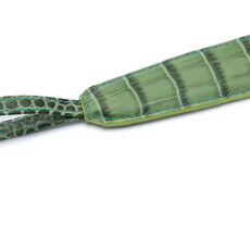 Walking Sticks Chausse pied SH0612