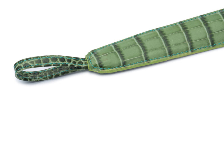 Walking Sticks Chausse pied SH0612