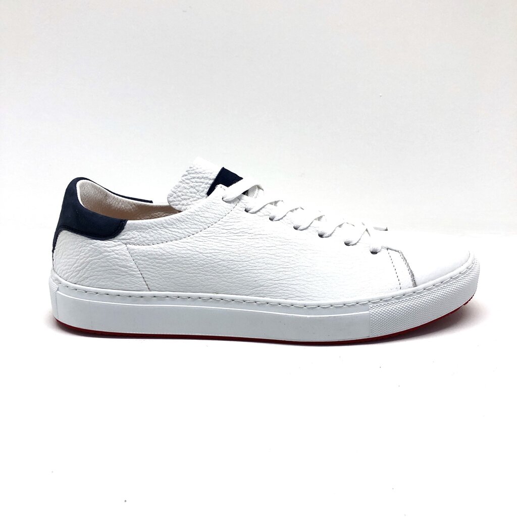 Andrea Ventura Andrea Ventura Sneak.020 PF-GIANNUTRI