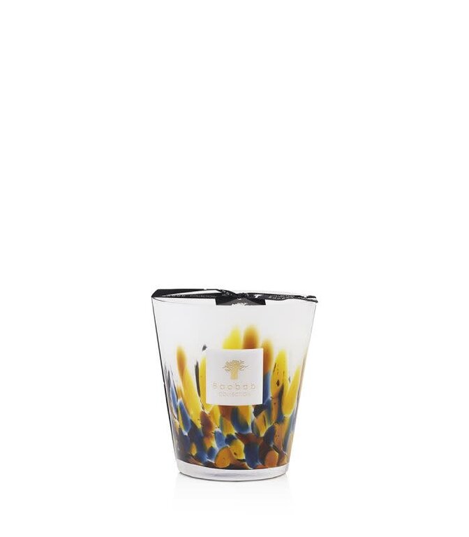 Baobab Baobab Candles RAINFOREST MAYUMBE
