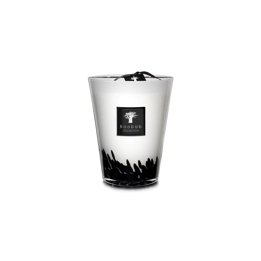 Baobab Baobab Candles Feathers