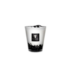 Baobab Baobab Candles Feathers
