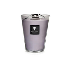 Baobab Baobab Candles White Rihno