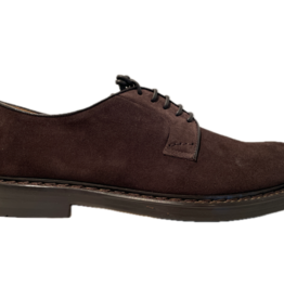 Doucal's DOUCALS DERBY DU1385SIEWUF009