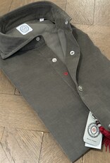 Bolzonella Shirt 6507