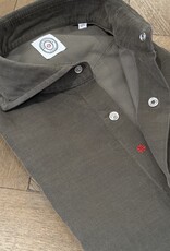 Bolzonella Shirt 6507