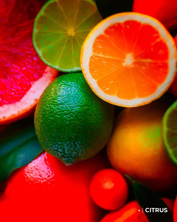 Kiton Kiton Parfum UPARF01050 Red