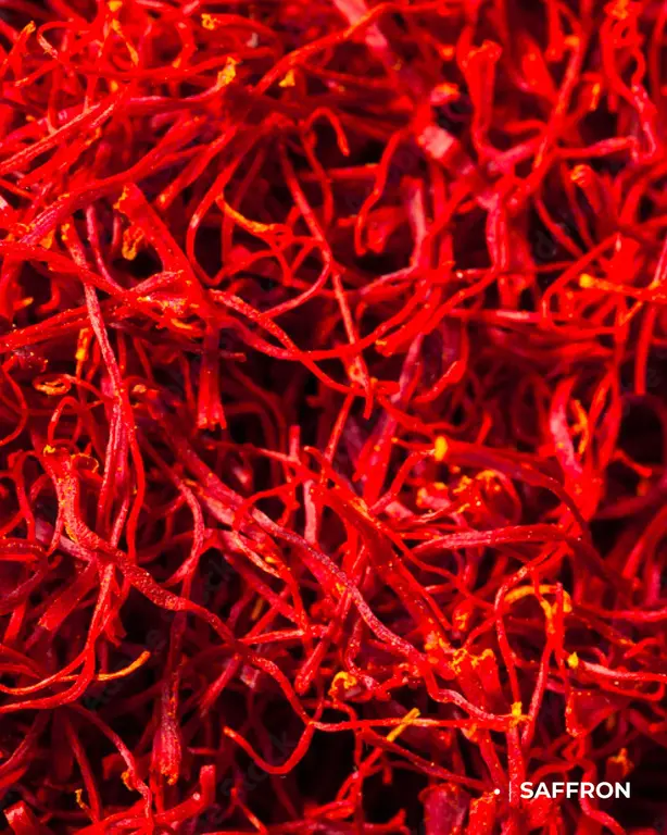 Kiton KITON Perfume 6 Ciro