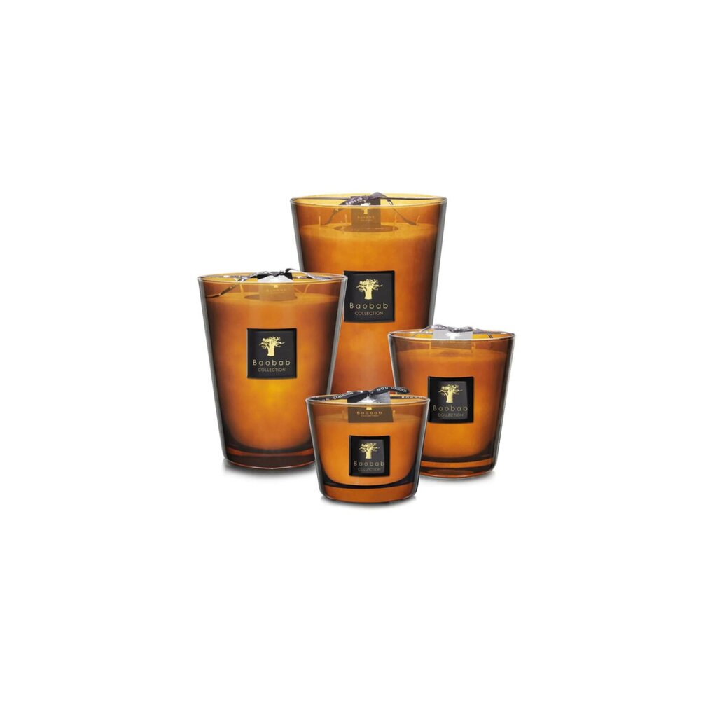 Baobab Baobab Candles Cuir de Russie