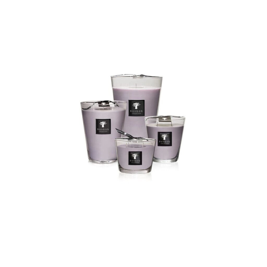Baobab Baobab Candles White Rihno