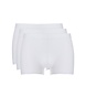 Ten Cate Short Basic 3-Pack 30222 - wit mt. XL & XXL Ten Cate Short Basic 3-Pack 30222 - wit mt. XL & XXL