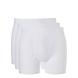 Ten Cate Short met gulp Basic 3-Pack 30223 - wit Ten Cate Short met gulp Basic 3-Pack 30223 - wit