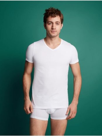 Ten Cate heren T-shirt met V-hals| Basic shirt v neck 30870 - Mooi Eronder