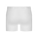 Ten Cate Short Basic 2-Pack 32323 - wit Ten Cate Short Basic 2-Pack 32323 - wit