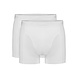 Ten Cate Short Basic 2-Pack 32323 - wit Ten Cate Short Basic 2-Pack 32323 - wit