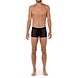 Hom Trunk Temptation Kim - 402595 Hom Trunk Temptation Kim - 402595
