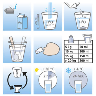 Travelsafe TravelSafe ORS - 12 sachets