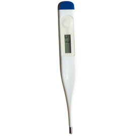 Travelsafe Travelsafe Thermometer