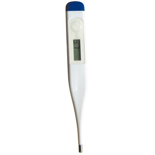 Travelsafe Travelsafe Thermometer