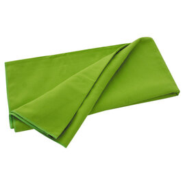 Travelsafe Travelsafe Traveltowel Micofibre Groen M (70x135cm)