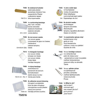 Travelsafe Travelsafe Eerste Hulp - Globe Basic