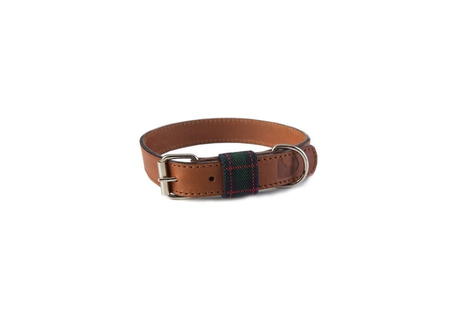 Halsband Edimburgh Green