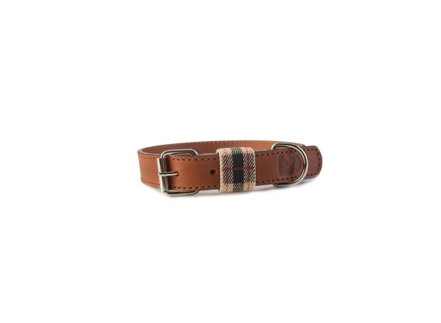 Edimburgh Beige collar