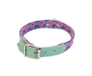wolf dog collars