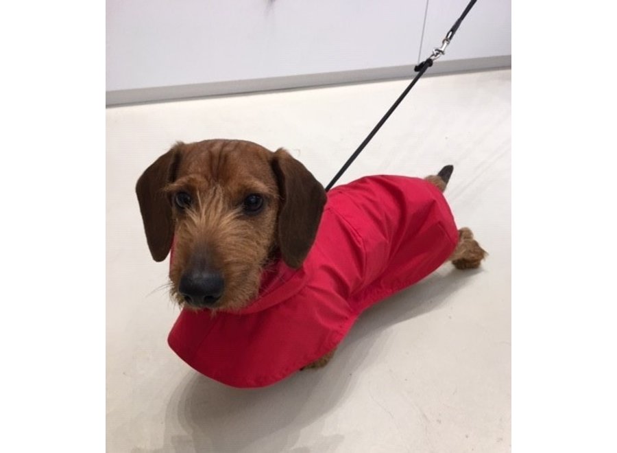 Raincoat Tintin Red