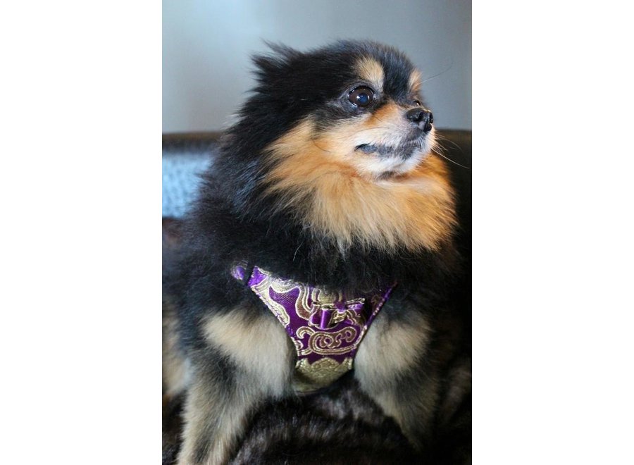 Satin Tibet Seduction Purple harness