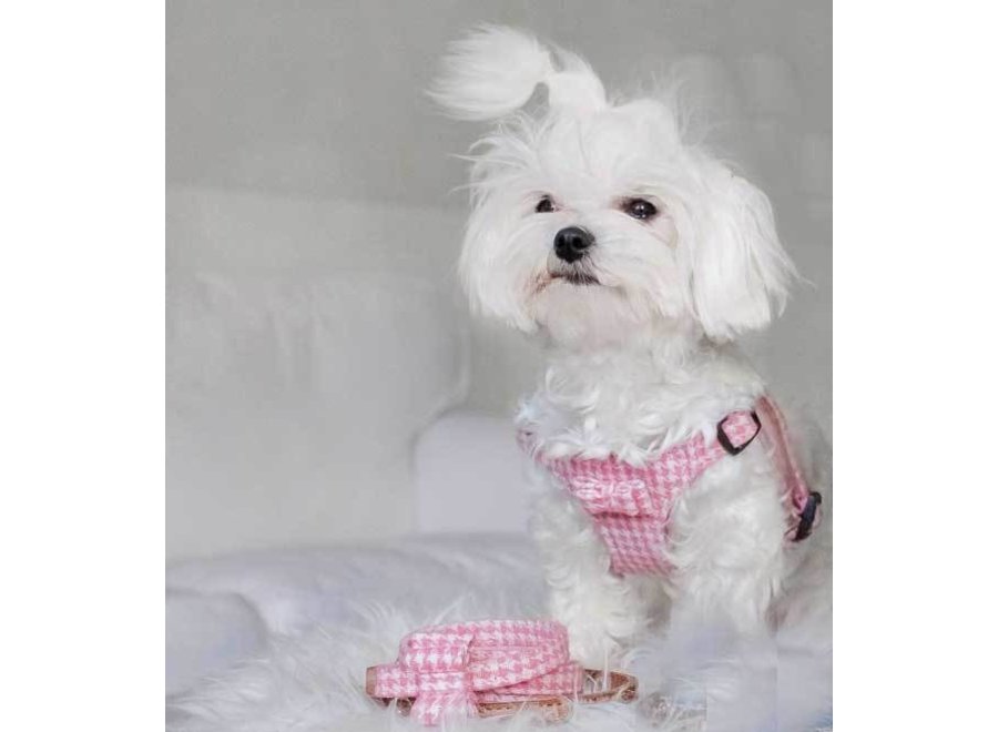 Pepita harness Pink/White