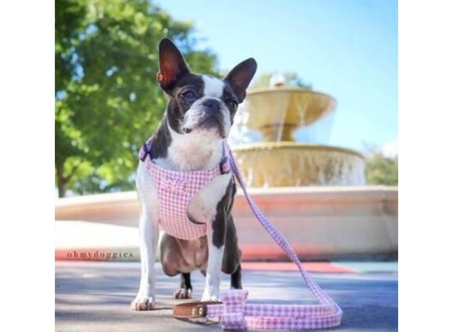 Pepita harness Pink/White