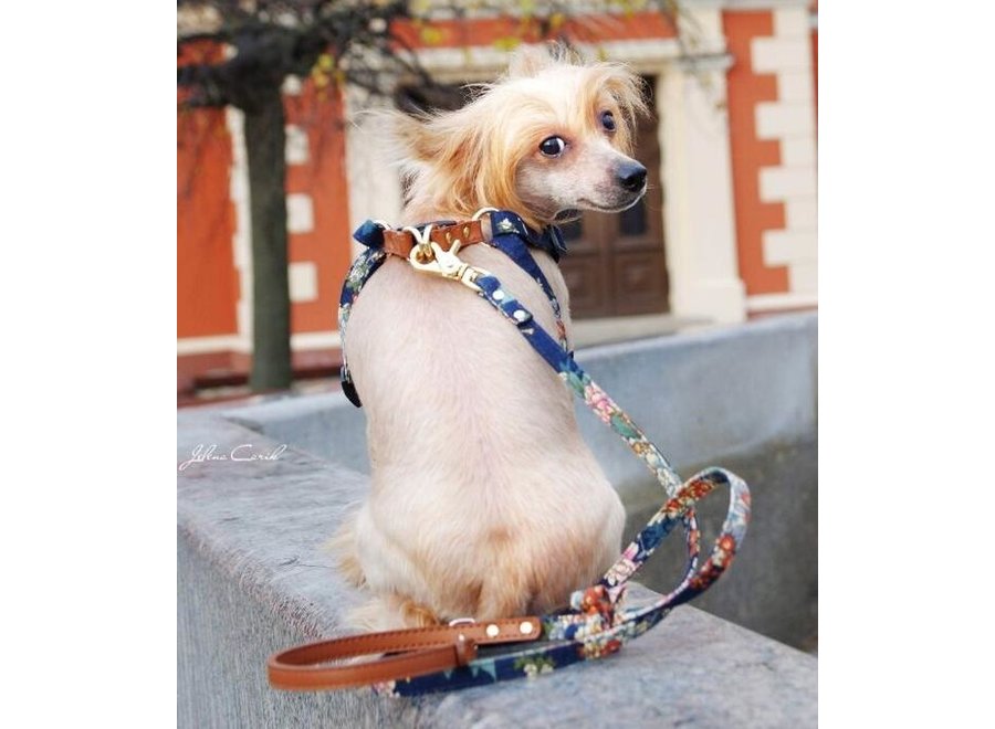 Blue Flower harness