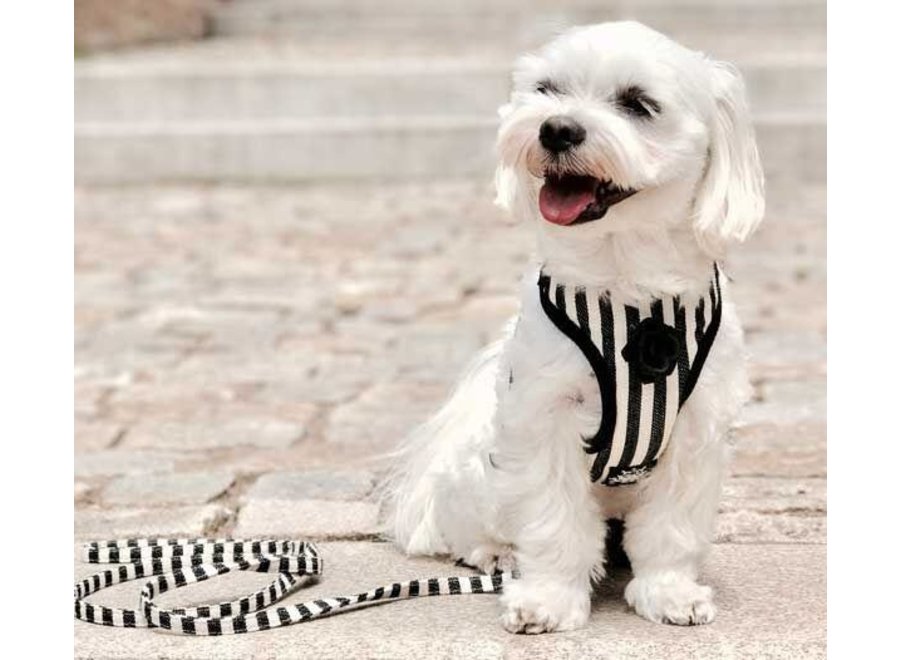 Striped harness