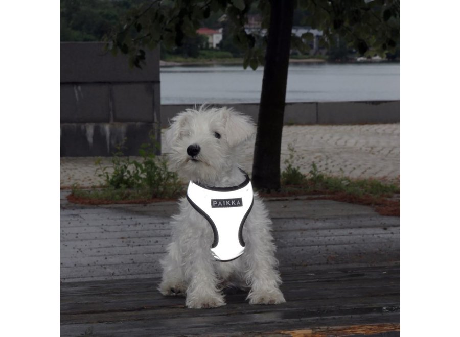 Visibility Harness